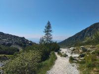 obrázok 9 z GJAR v prírode - sekunda a kvarta