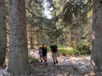 obrázok 30 z GJAR v prírode - sekunda a kvarta