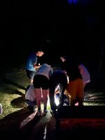 obrázok 35 z GJAR v prírode - sekunda a kvarta