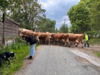 obrázok 58 z GJAR v prírode - sekunda a kvarta