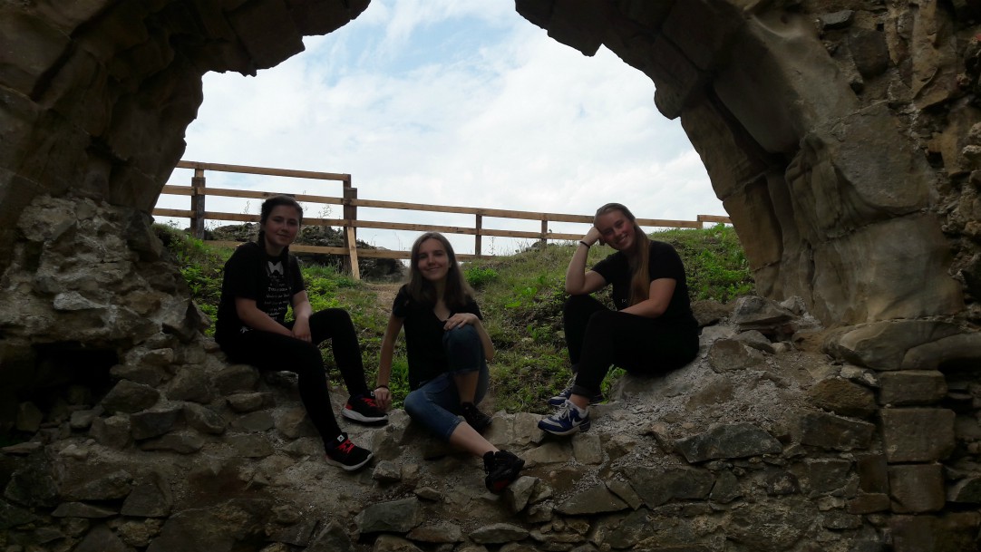 Šarišský hrad