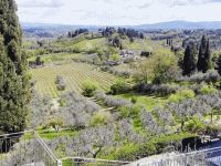 obrázok 7 z Toskánsko - San Gimignano