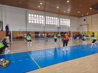 obrázok 8 z Krajské kolo vo volejbale dievčat SŠ