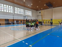 obrázok 9 z Krajské kolo vo volejbale dievčat SŠ