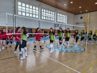 obrázok 10 z Krajské kolo vo volejbale dievčat SŠ