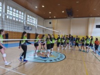 obrázok 11 z Krajské kolo vo volejbale dievčat SŠ