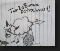 TurboBaran ostrochvost