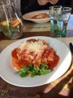 lasagne