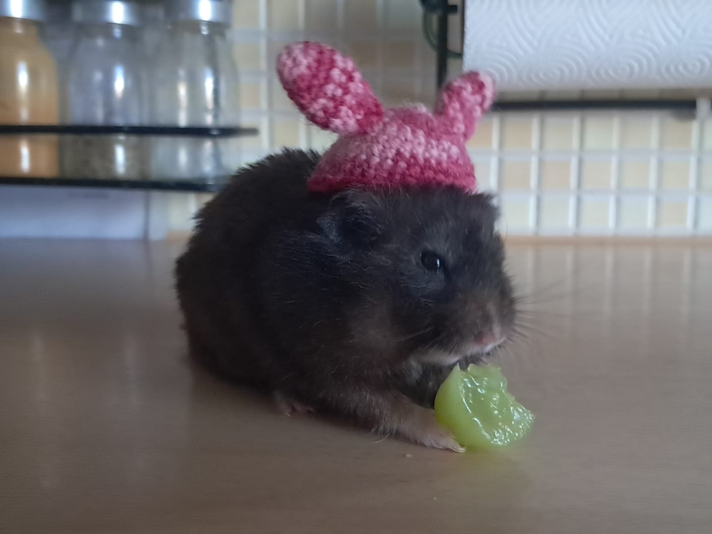 krtusikcapka