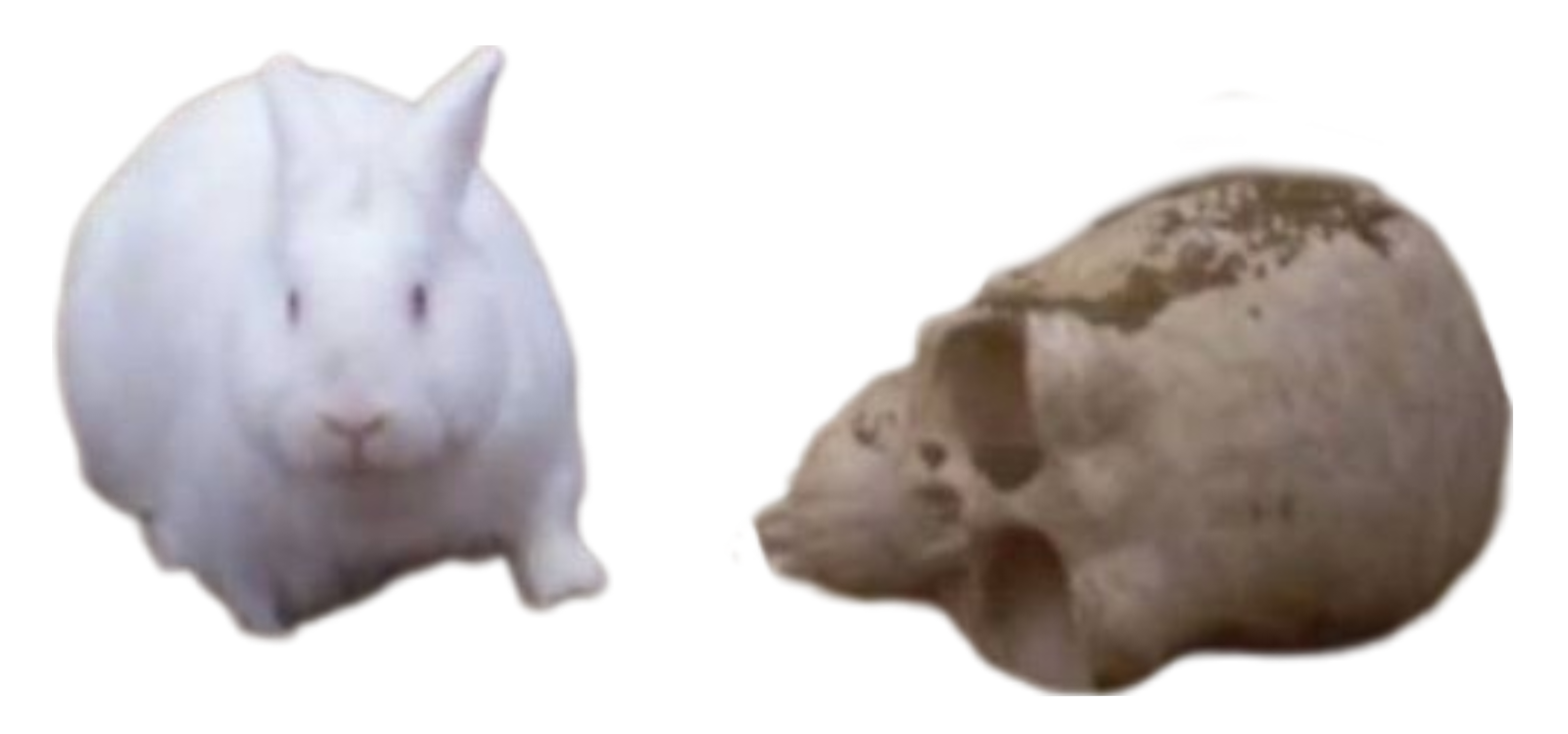 ja potrebujem dobru znamku plspls