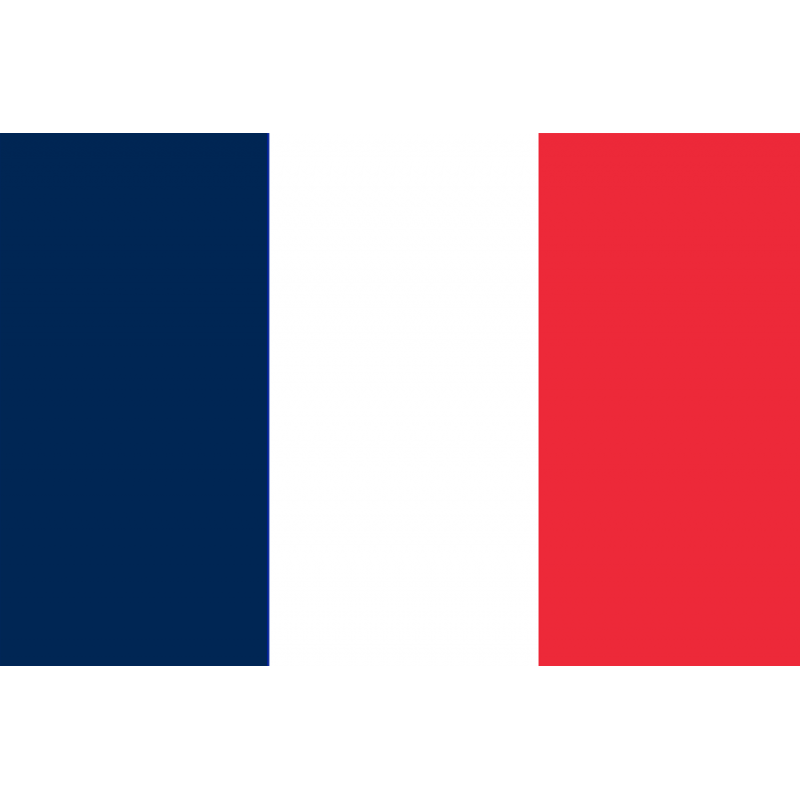 traduction française