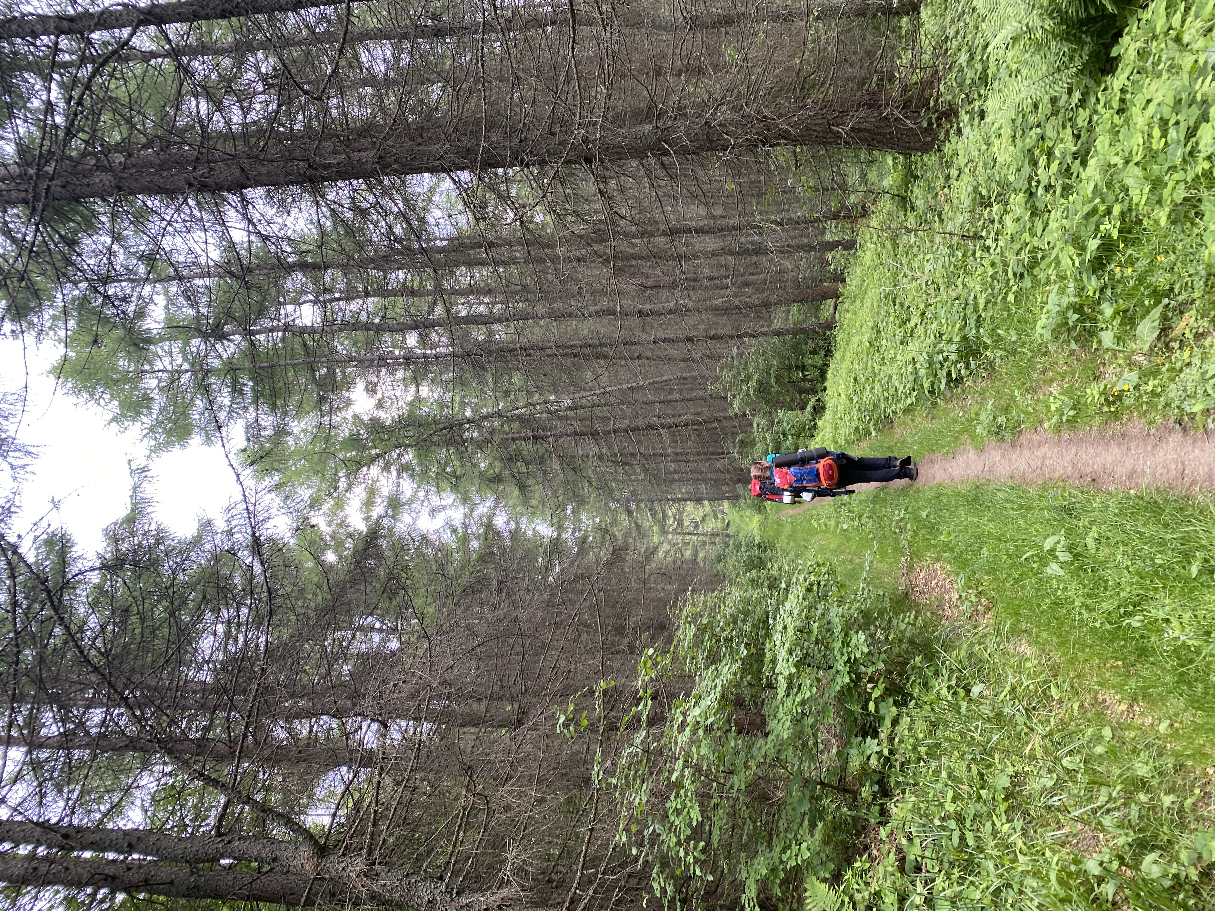 dofe3