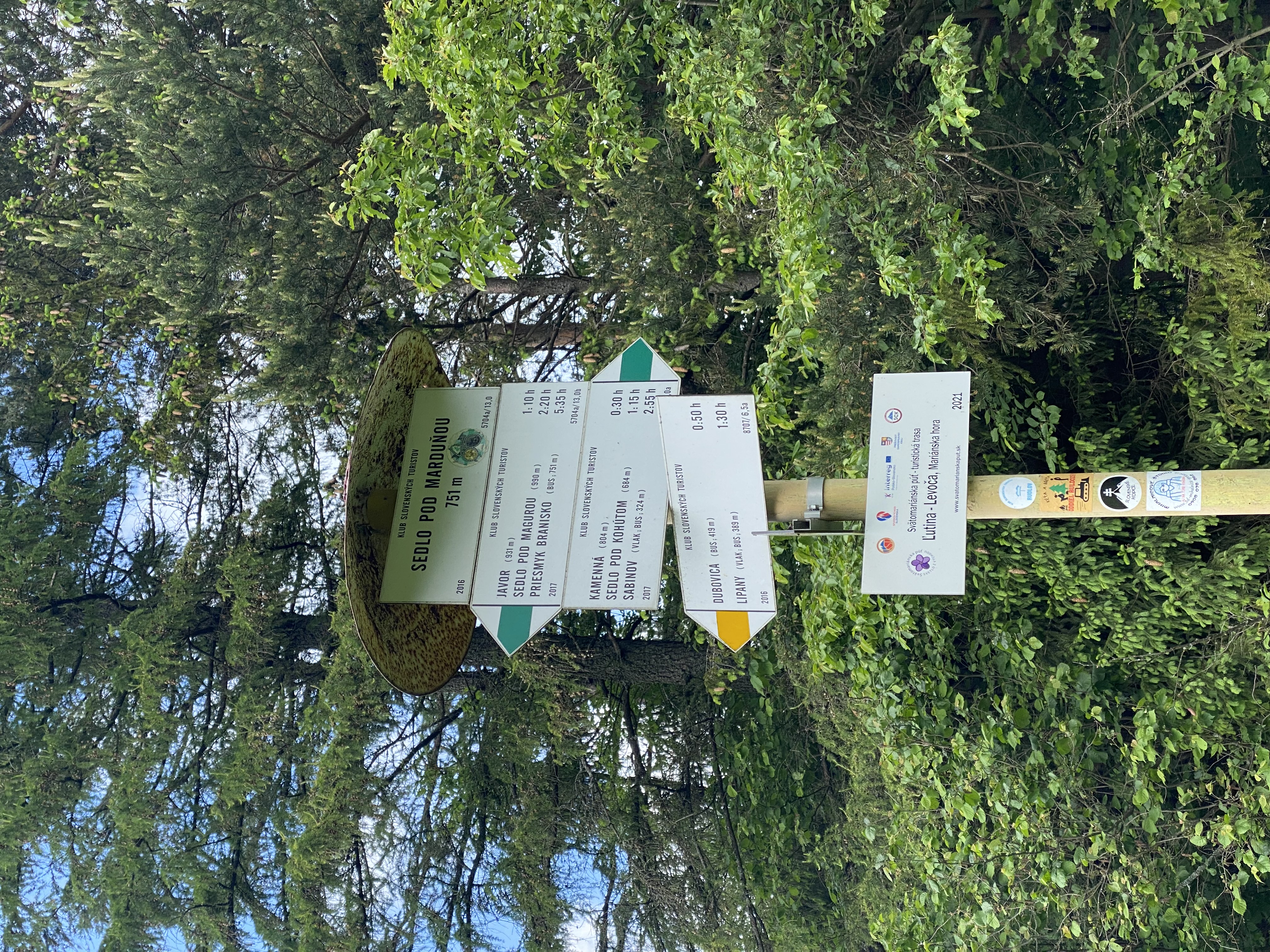 dofe7