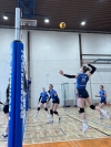 Volejbal