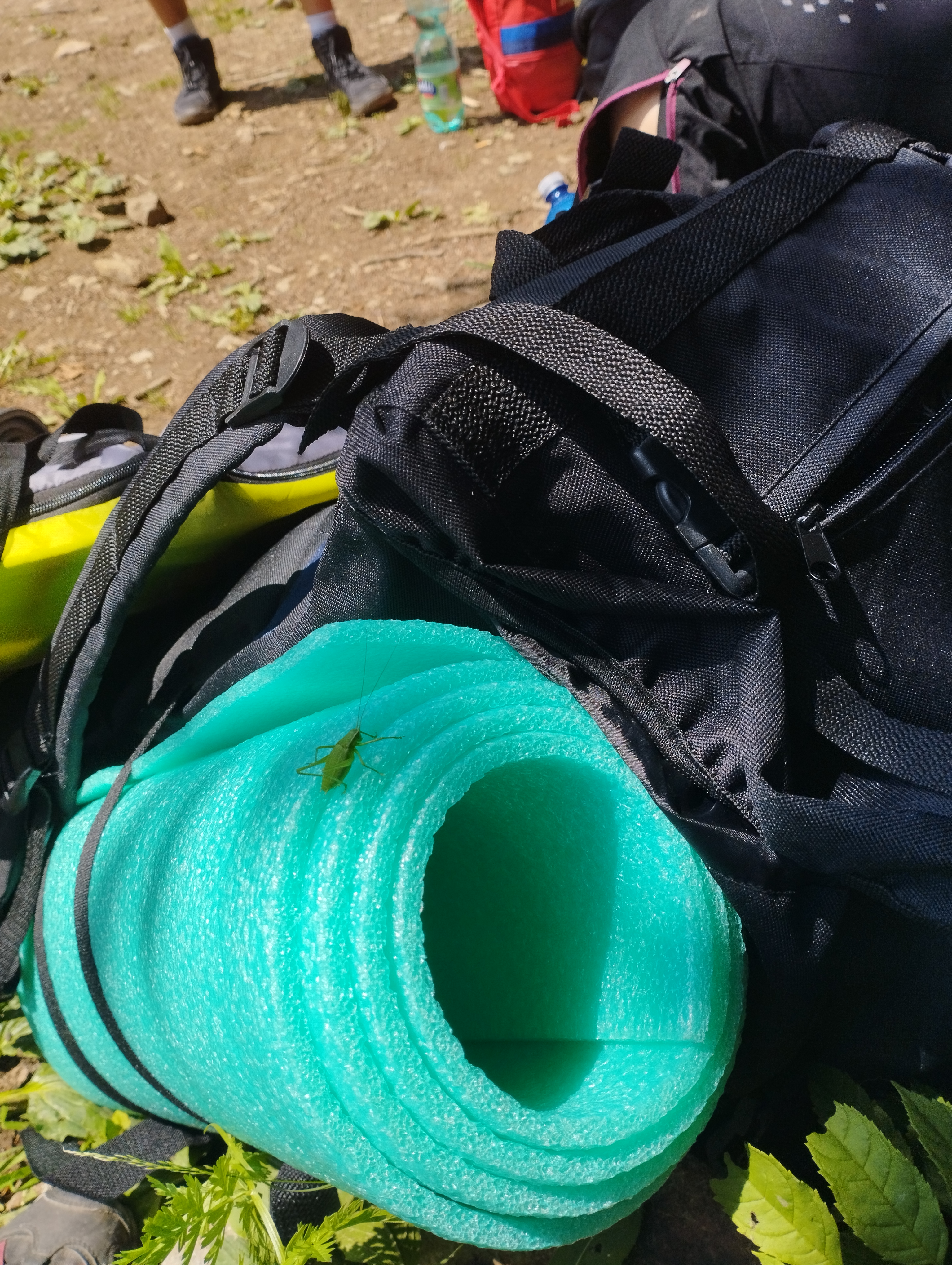 dofe_1