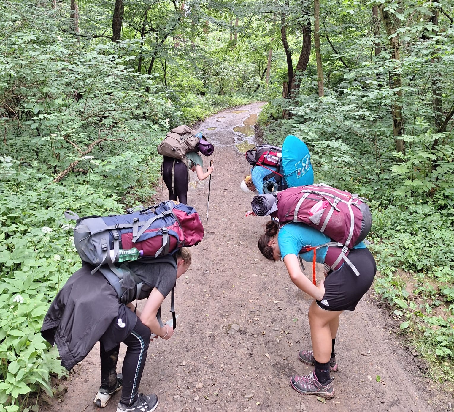 dofe