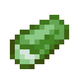 Kaktus