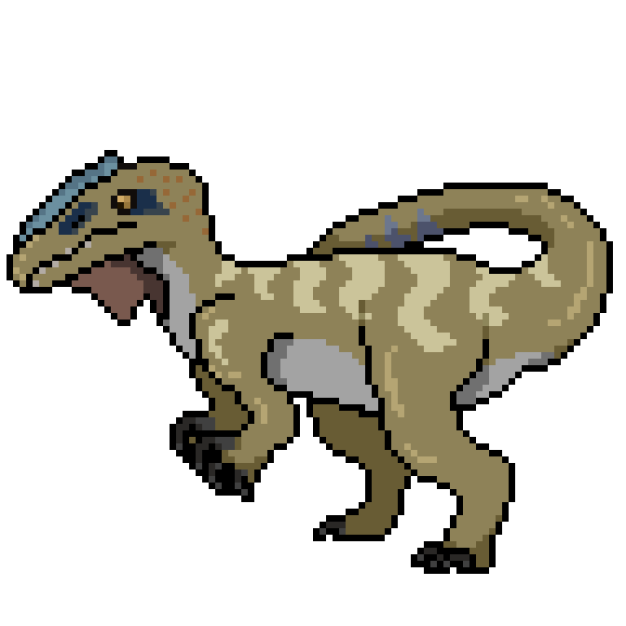Irritator