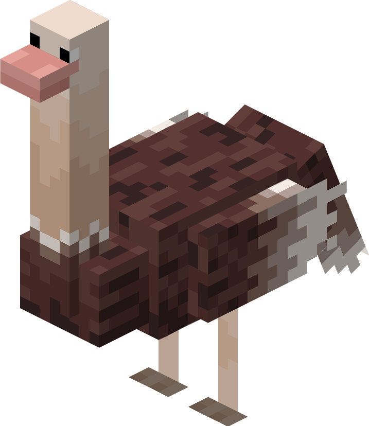 Struthio