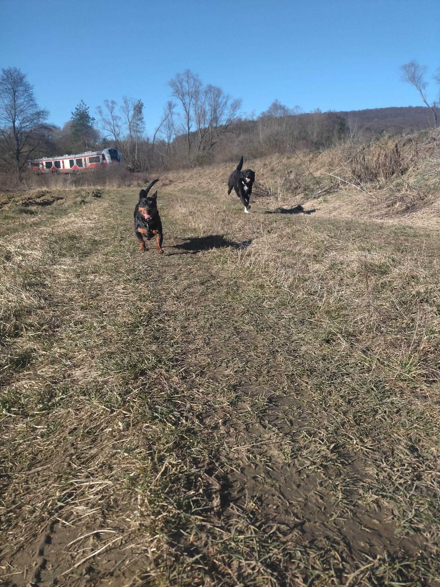 psiska