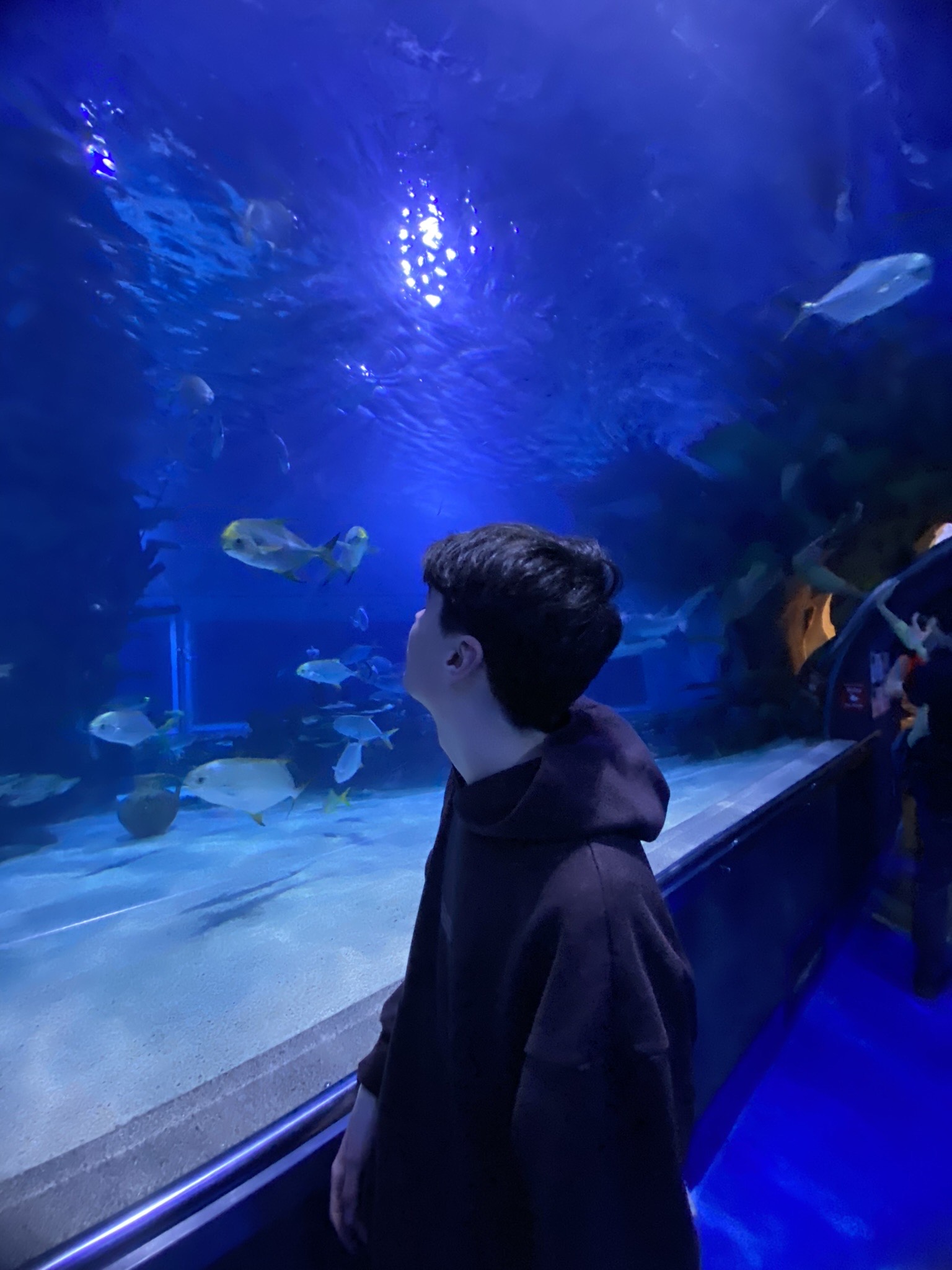 Tropicarium