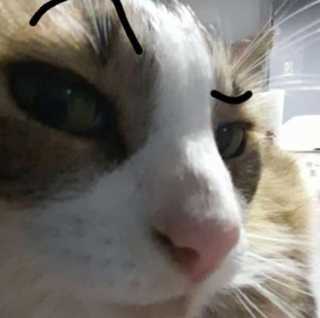 omne.png