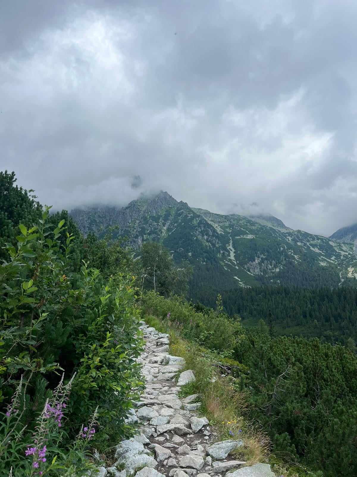 Tatry